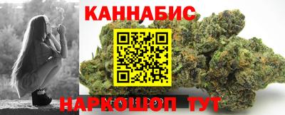 гашик Моздок