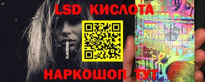 гашик Моздок