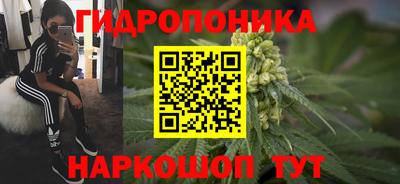 гашик Моздок