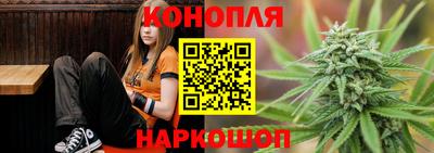 гашик Моздок