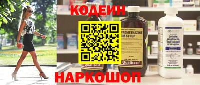гашик Моздок
