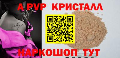 гашик Моздок