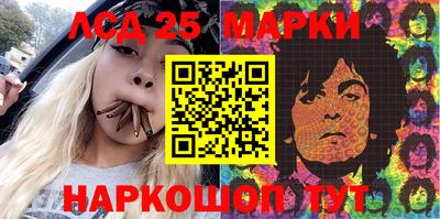 гашик Моздок
