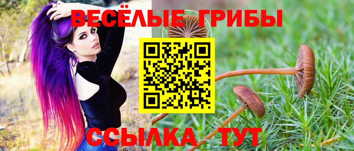 Галлюциногенные грибы мухоморы  Галлюциногенные грибы GOLDEN TEACHER  Вход с VPN  Великий Новгород 