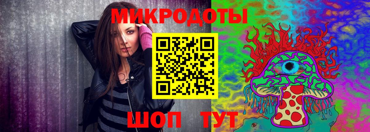 Галлюциногенные грибы Psilocybine cubensis Великий Новгород